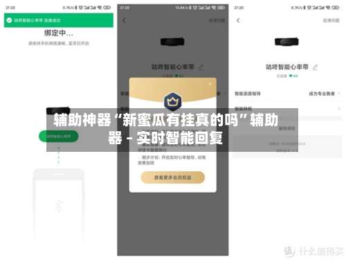 辅助神器“新蜜瓜有挂真的吗”辅助器 – 实时智能回复-第2张图片
